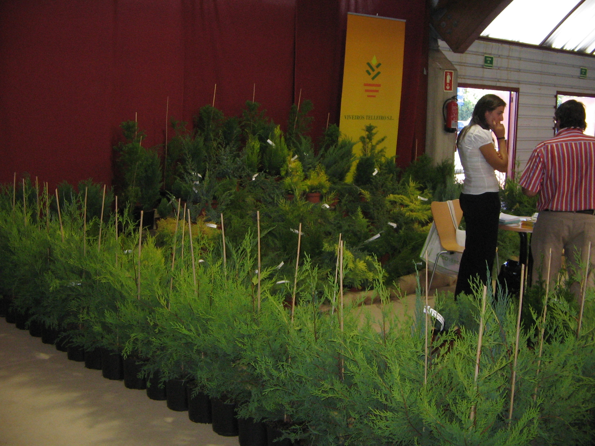 Feira Santiago de Compostela